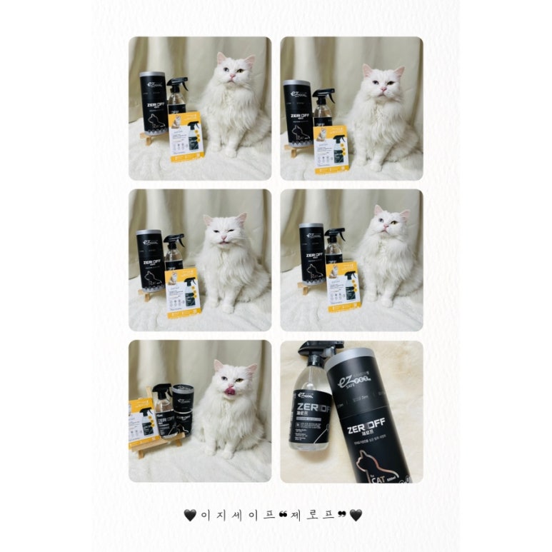 브랜드 라인업 이미지