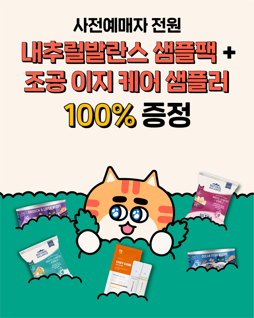 브랜드 라인업업 이미지