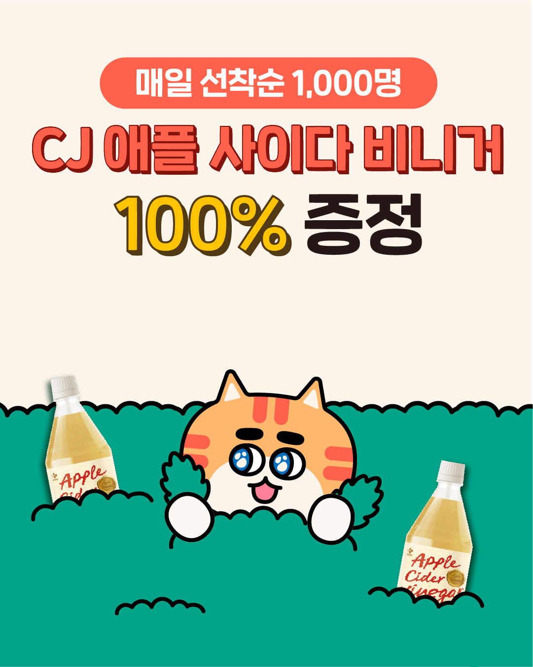 브랜드 라인업업 이미지
