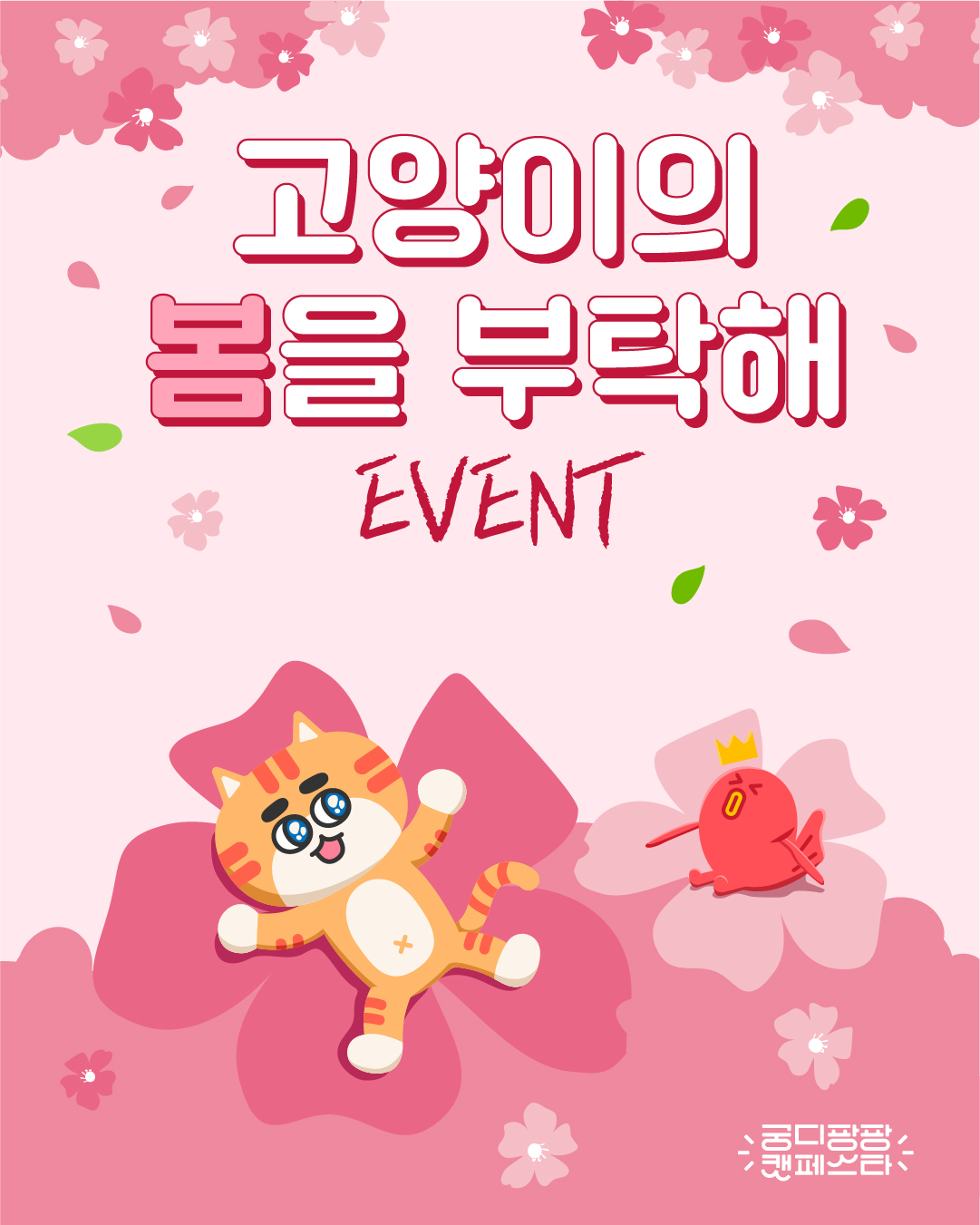 브랜드 라인업업 이미지