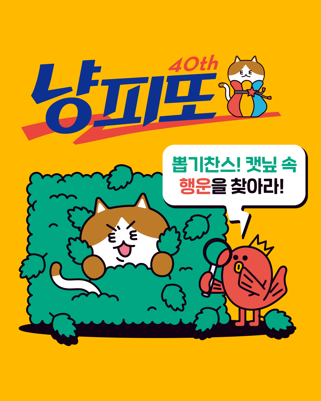 브랜드 라인업업 이미지