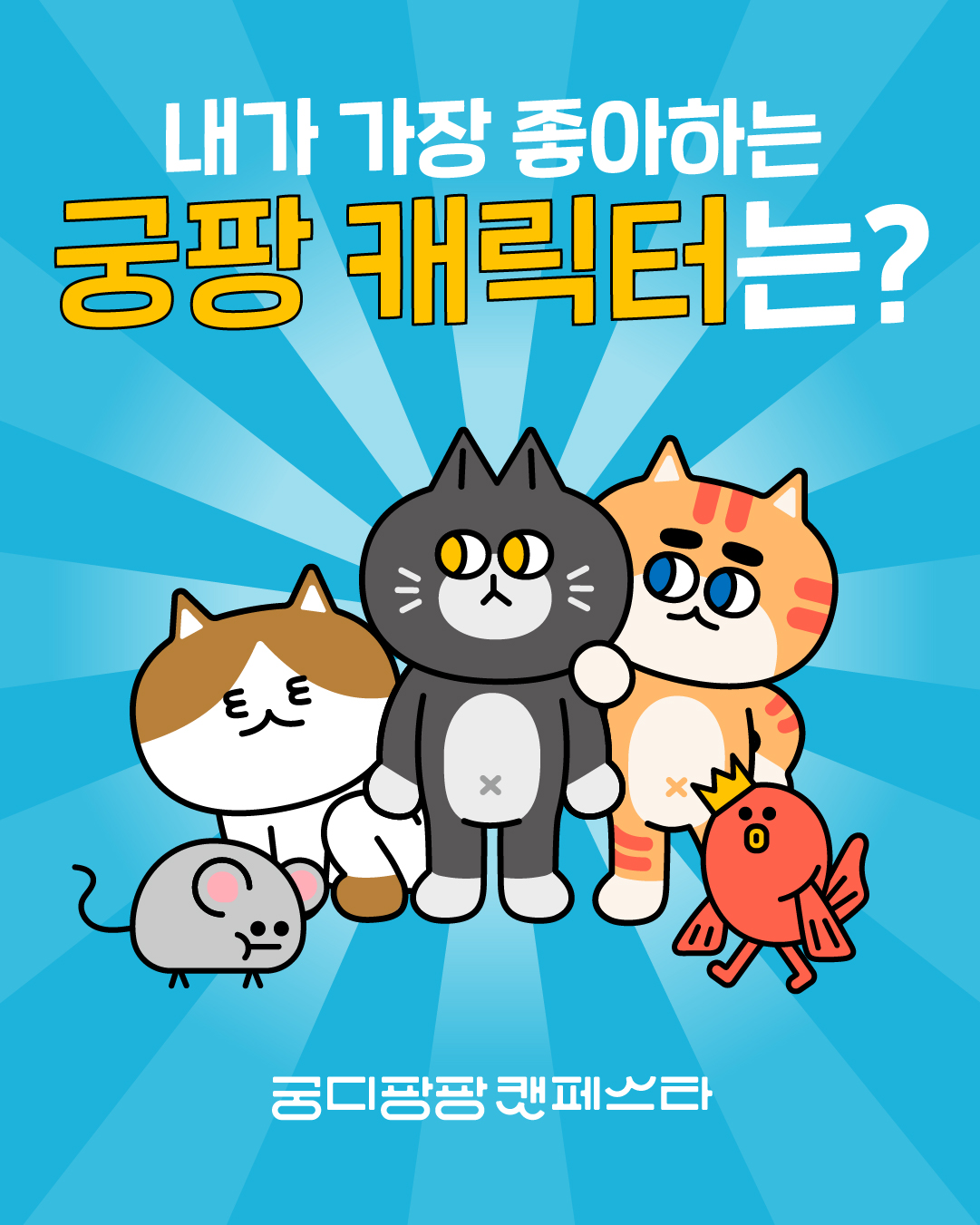 브랜드 라인업업 이미지