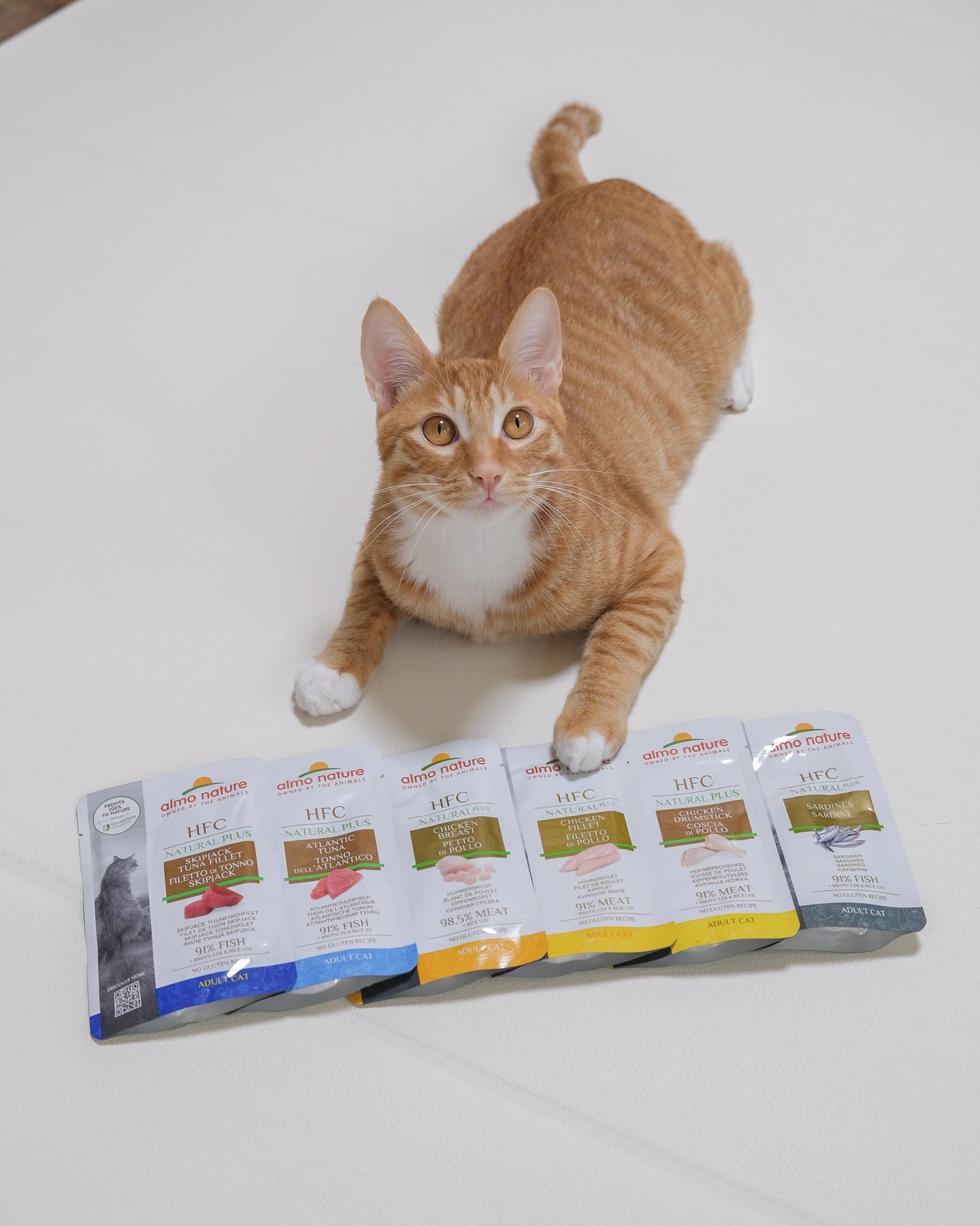 브랜드 라인업 이미지