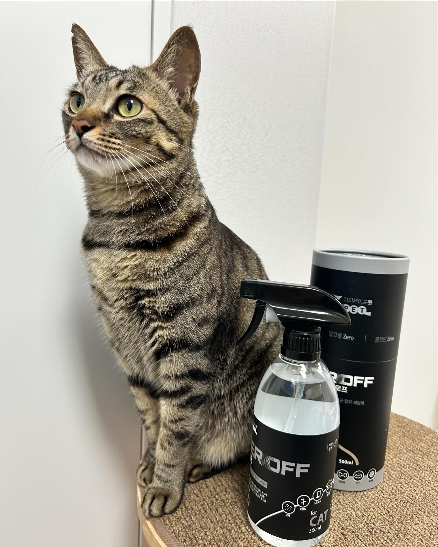 브랜드 라인업 이미지