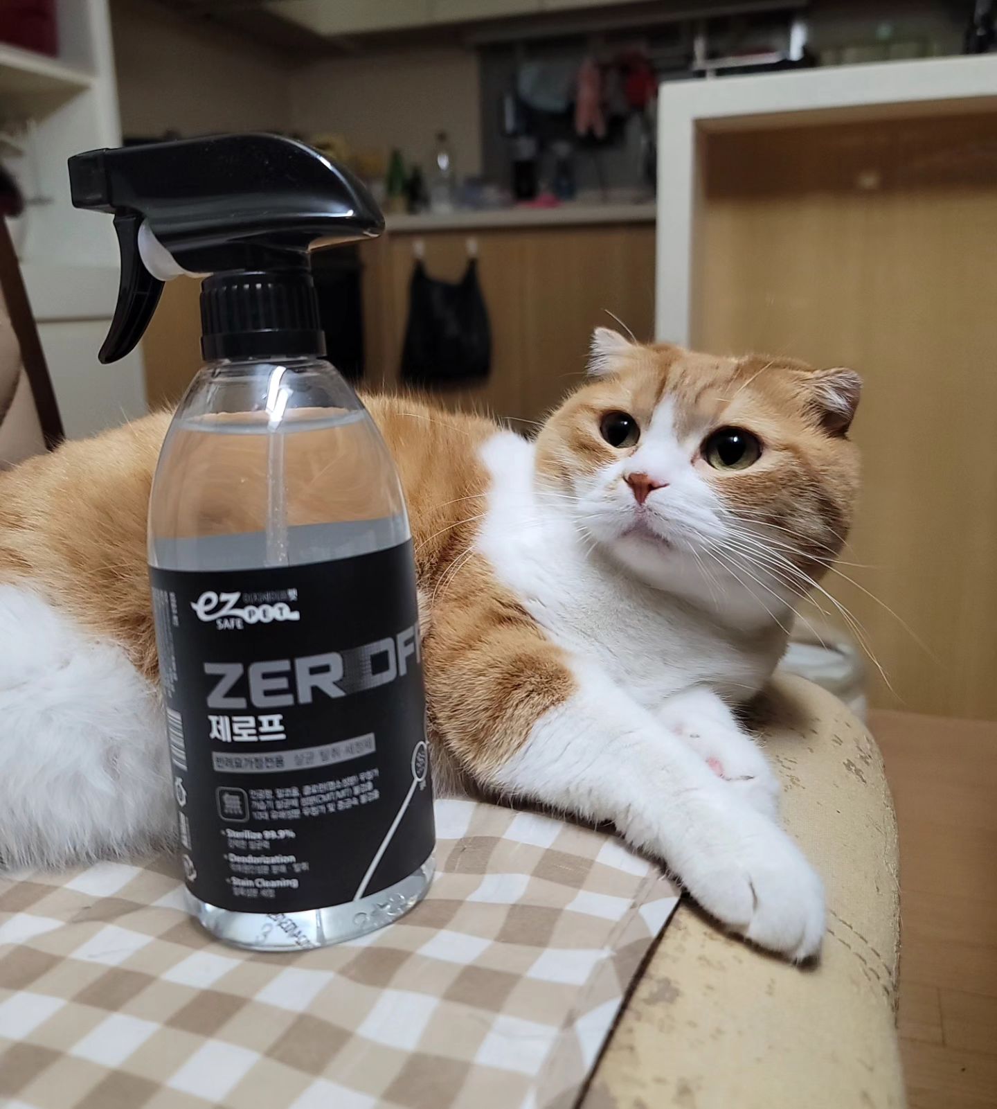 브랜드 라인업 이미지