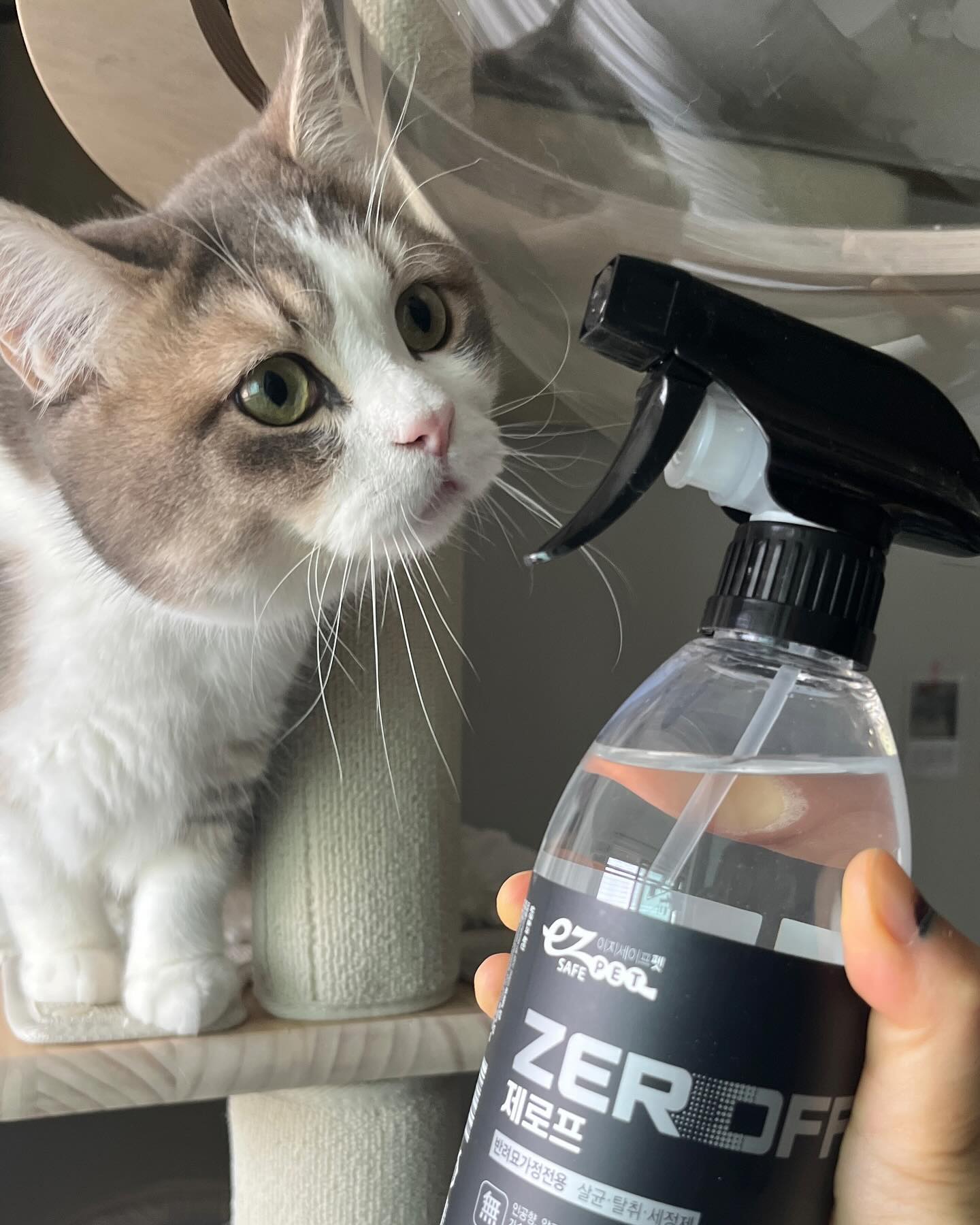 브랜드 라인업 이미지