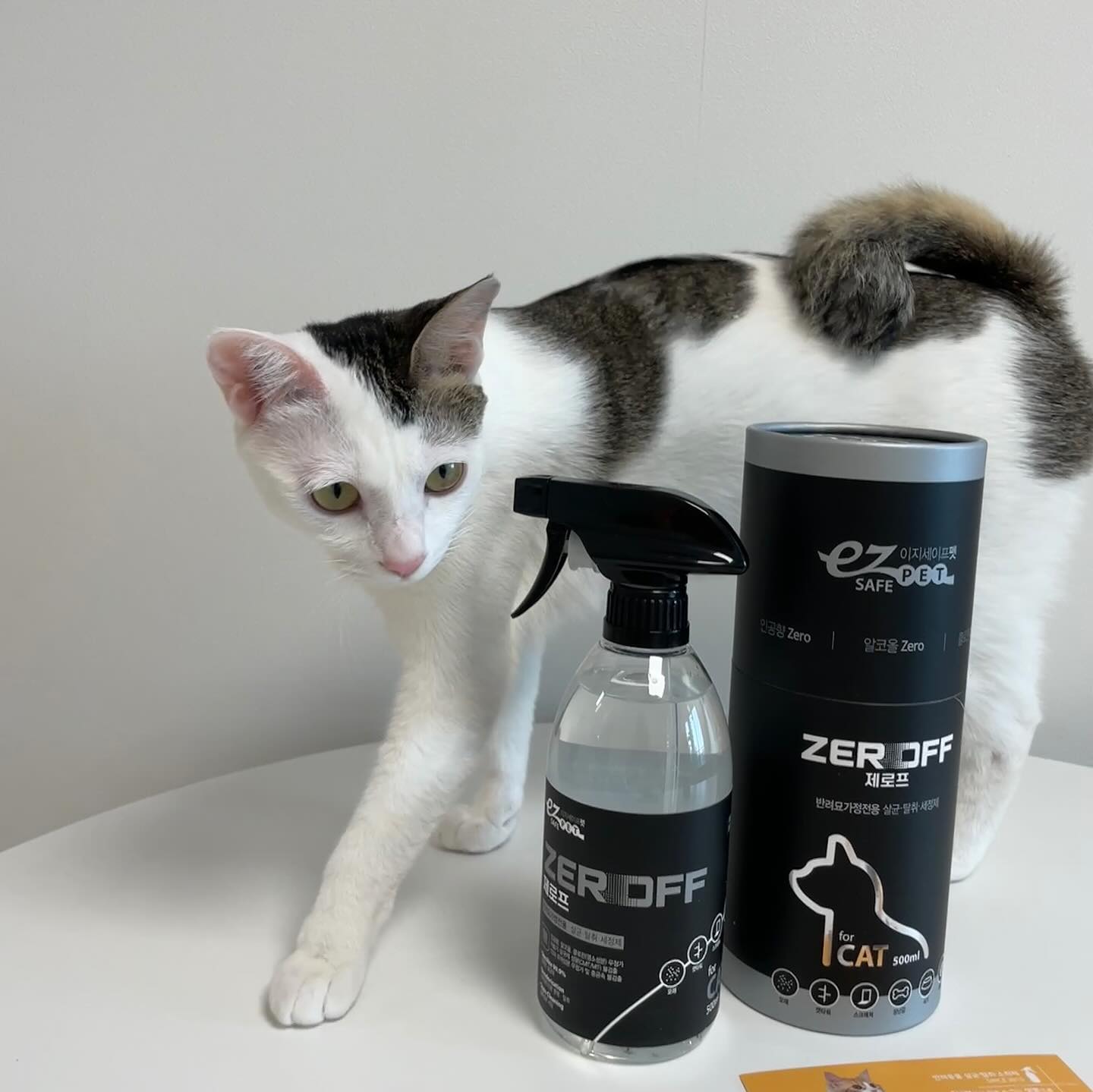 브랜드 라인업 이미지