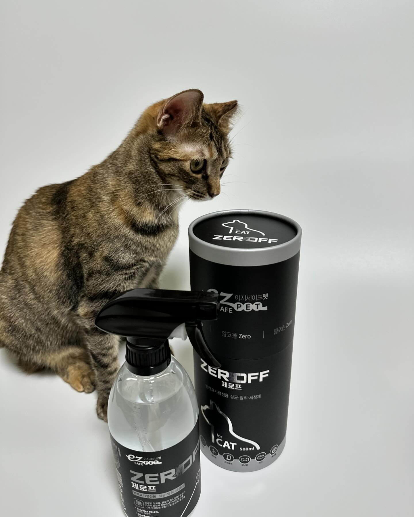 브랜드 라인업 이미지