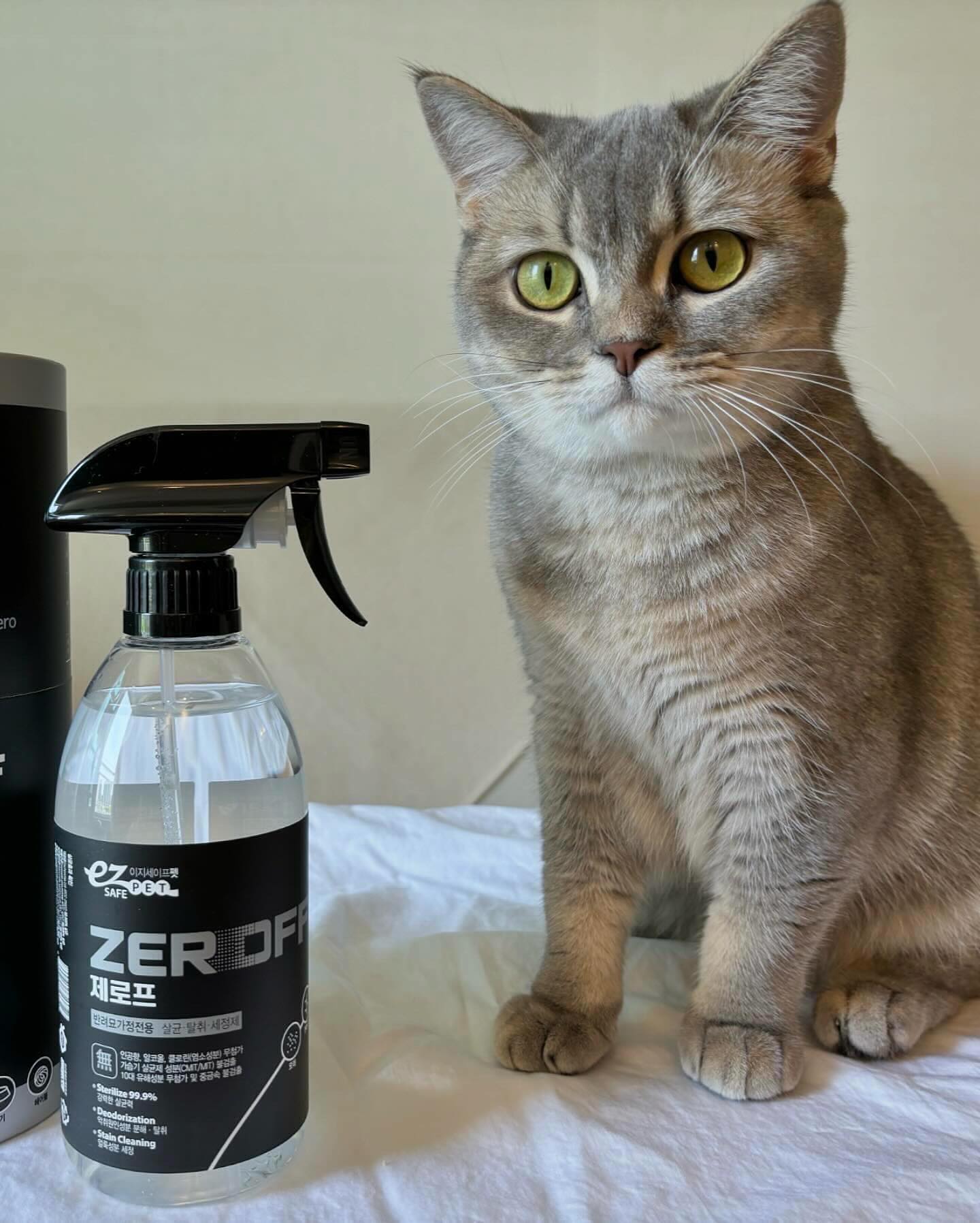 브랜드 라인업 이미지