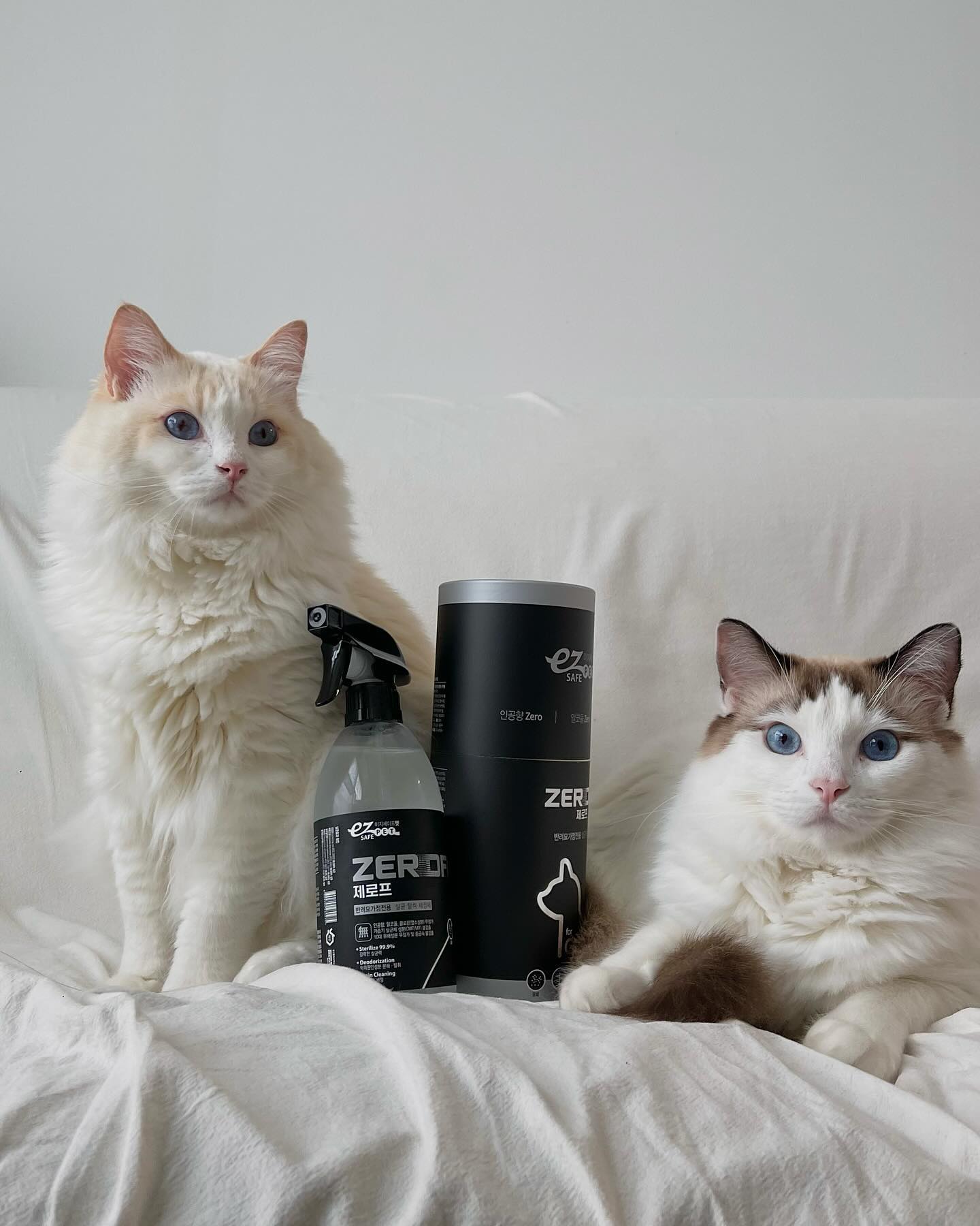 브랜드 라인업 이미지