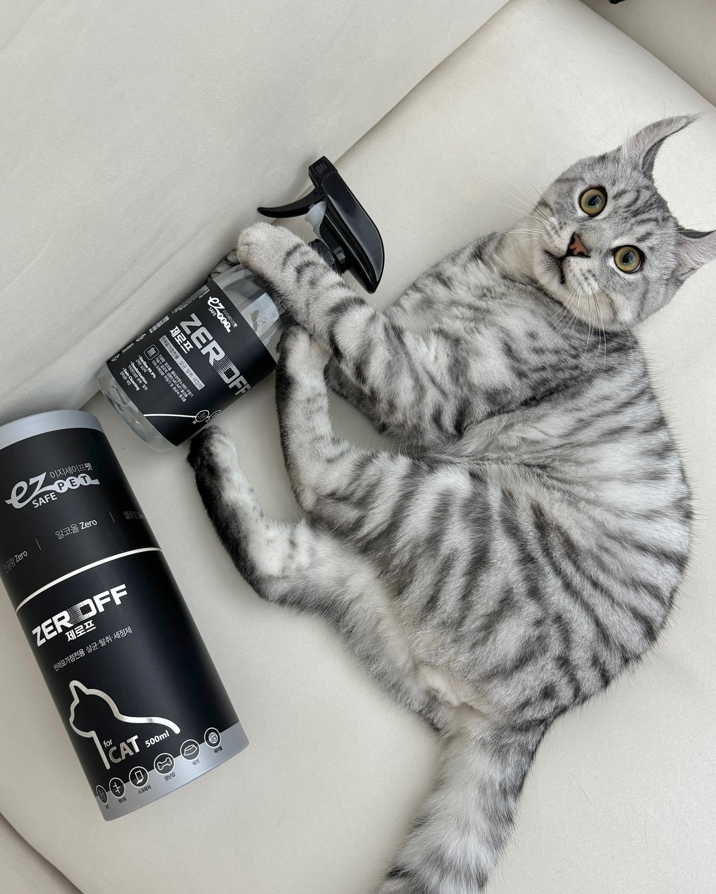 브랜드 라인업 이미지