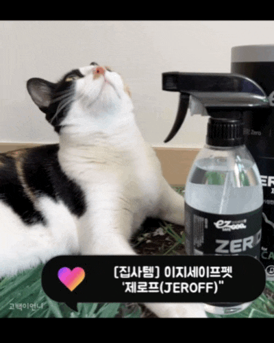 브랜드 라인업 이미지