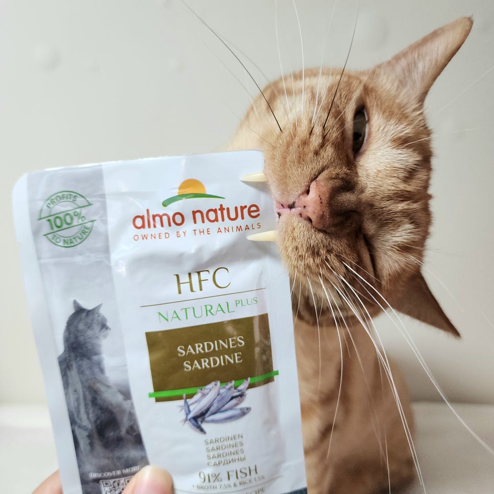 브랜드 라인업 이미지