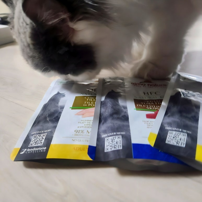 브랜드 라인업 이미지