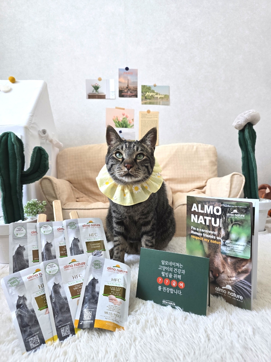 브랜드 라인업 이미지