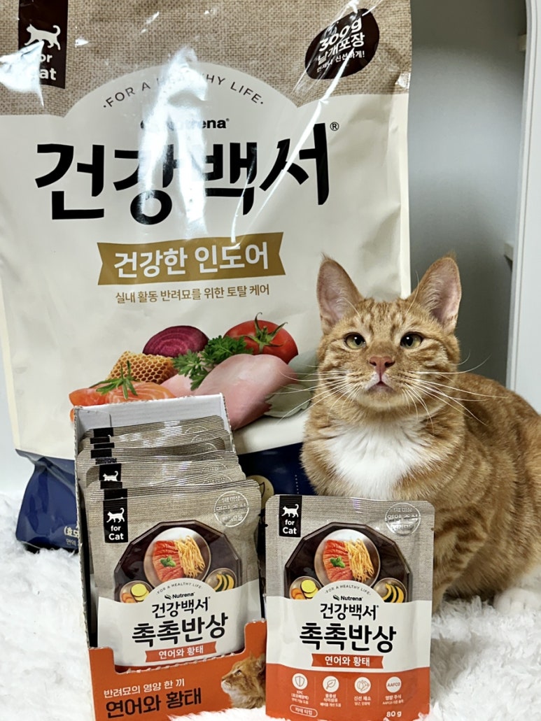 브랜드 라인업 이미지