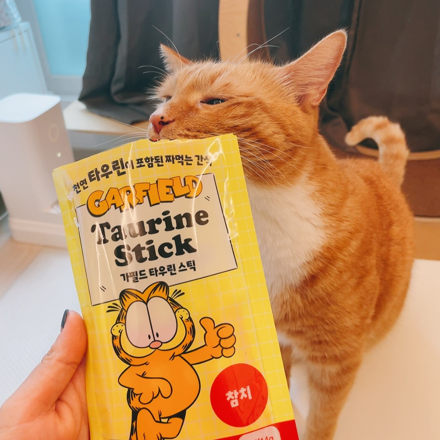 브랜드 라인업 이미지